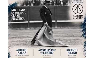 Roberto Brand Debut